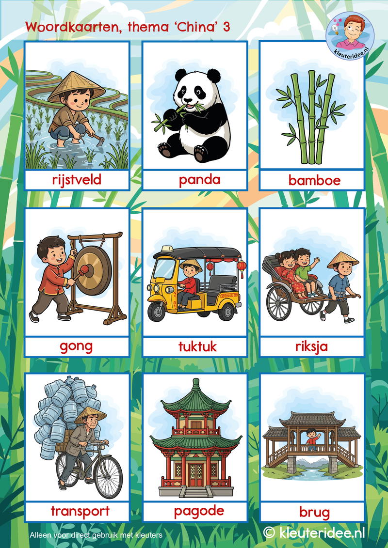 woordkaarten thema China kleuteridee zonder lidwoorden